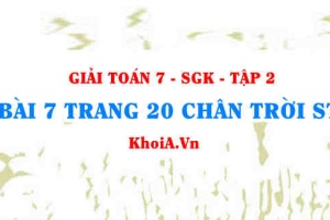 Bài 7 trang 20 Toán 7 Chân trời sáng tạo Tập 2